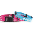 Flat Polyester Dog Collars (3/8"x12")